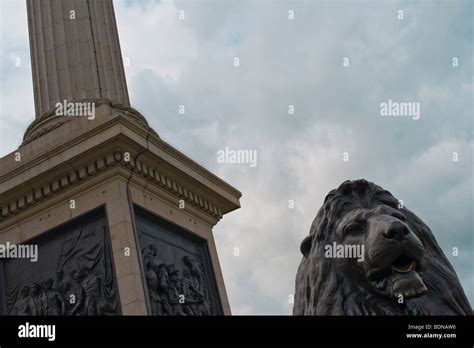 Image result for Nelsons Column
