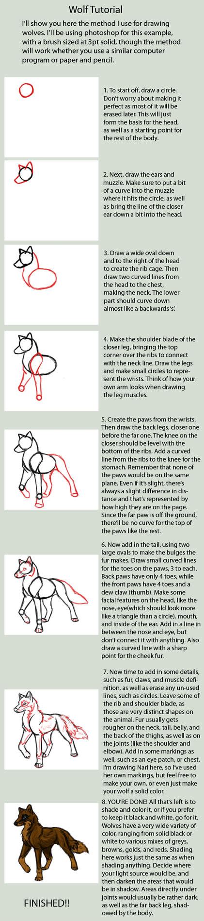 Image result for Wolf Art Tutorial