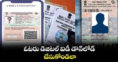 Voting Card 的图像结果