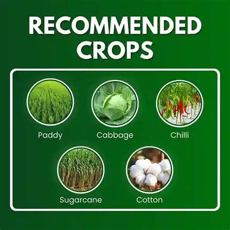 Buy Katyayani Fantasy | Fipronil 5% SC | Chemical insecticide at Best ...