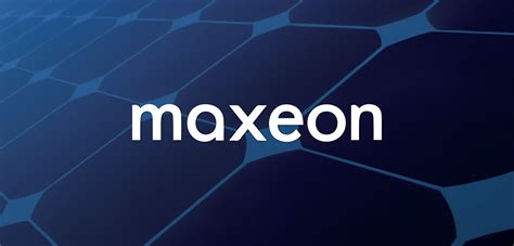 Maxeon Solar Panels Review 的图像结果