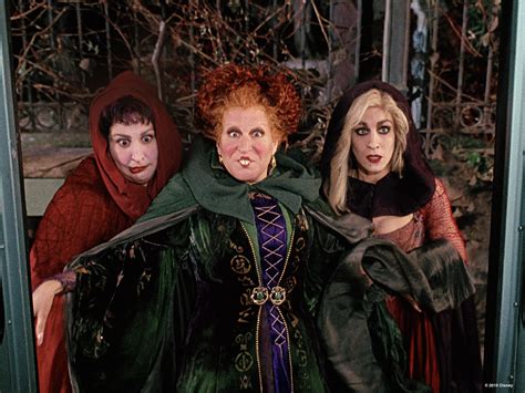 Image result for Program to Implement Stack as an Array
