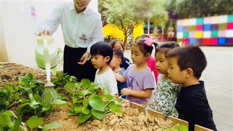 惊喜！朝阳公园里的幼儿园：原来孩子可以这样长大 | 国际教育|家庭生活|社区活动