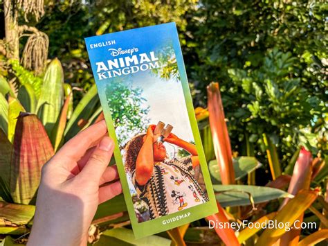 Disney’s Animal Kingdom Has A New Map And It’s Got One Major Change ...
