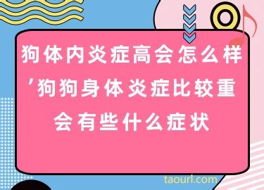 小狗的种类都有些什么-狗狗的种类有哪些Word模板下载_编号lbaokdpy_熊猫办公