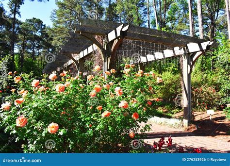 Cape Fear Botanical Garden, Fayetteville, NC Stock Photo - Image of ...