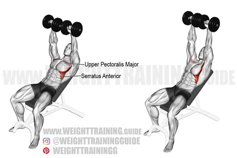 Shoulder Exercise 的图像结果