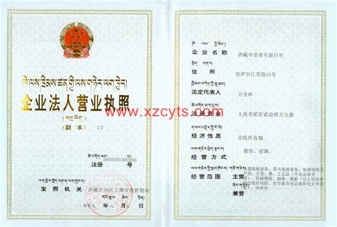 西藏青年国际旅行社-营业执照
