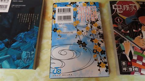 Demon Slayer Kimetsu No Yaiba #3 Manga Comic Book | Ubuy India