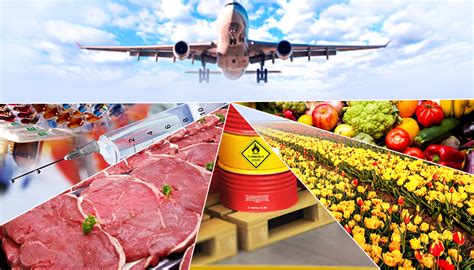 Best Top 10 IATA Freight Forwarders Company in India | C&C Gloal Logistics