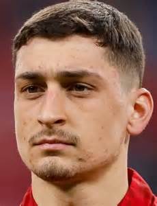 Djordje Petrovic - Player profile 25/26 | Transfermarkt