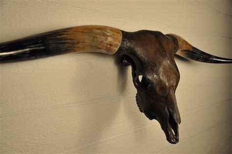 DIABLO - 5' 9" Longhorn Bull Skull – LONGHORN CUSTOM SKULLS