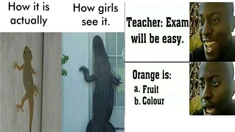 Education Meme 的图像结果