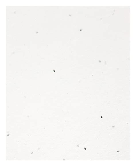 Eco-Friendly A3 Plantable Seed Paper, Sustainable Seed Paper – DEVRAAJ ...