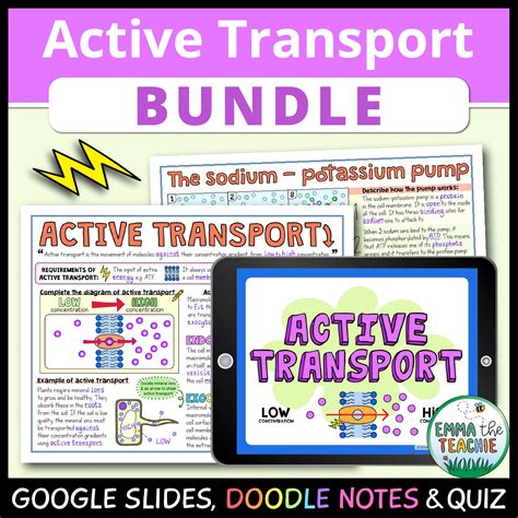 Image result for Active Transport Video Example