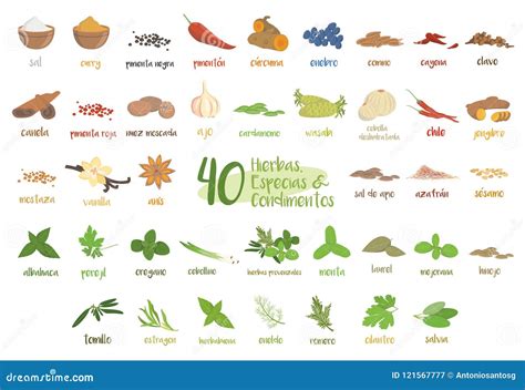 How To Say Herb In Spanish at Kathryn Ono blog