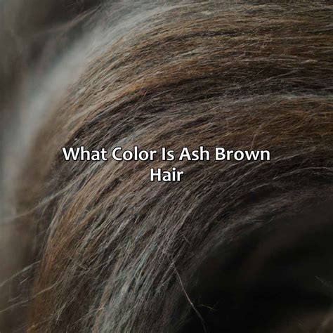 What Color Is Mahogany - colorscombo.com