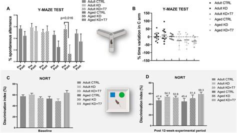 Image result for How to Test Spatial Memory