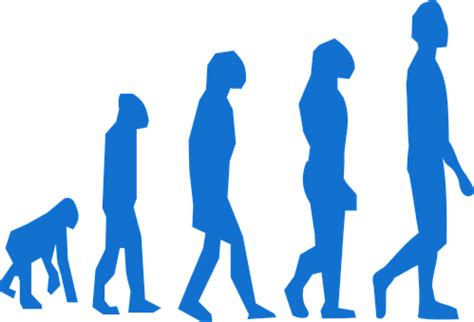 Evolution PNG 的图像结果
