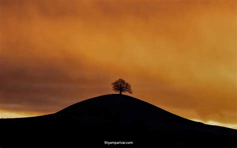 Top 10 HD Background Images, Photos and wallpapers for Mobile and Desktop