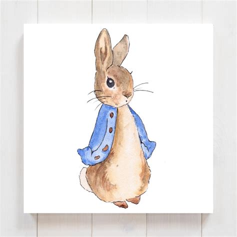Image result for Rabbit SpO2