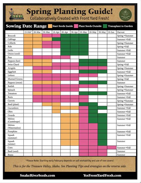 Free Printable Companion Planting Chart, 42% OFF