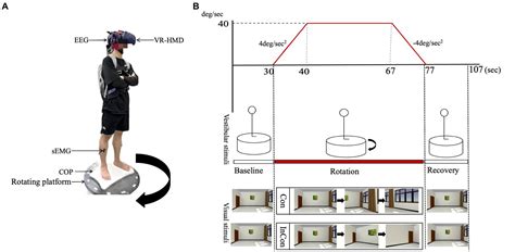 Image result for Dynamic Equilibrium Device Human