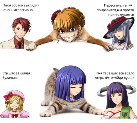 Твоя собака выглядит очень агрессивно Перестань, ты ей понравился,она ...