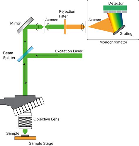 How Confocal Microscopy Works at Jacklyn Poole blog