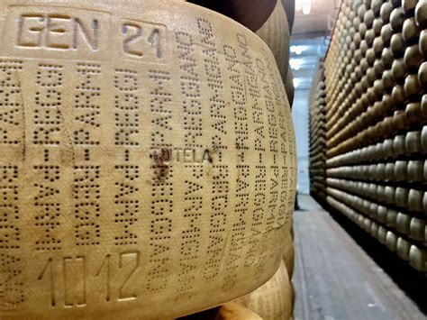 ANTICA LATTERIA DUCALE (2026) All You Need to Know BEFORE You Go (with ...