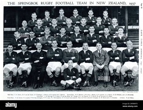 Image result for Springbok Rugby Team