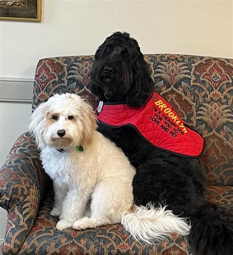 DeMoney-Grimes Funeral Home | Columbia City IN