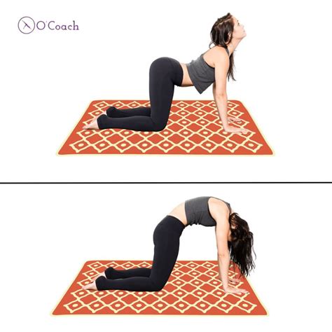 Tutorial: Pull Day Cool-Down! - O'Coach Blog - HIIT, Yoga, Rehab, Custom Workout Plans & Self ...