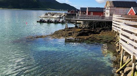 LOFOTEN BASECAMP (Offersoya) - Lodging Reviews, Photos, Rate Comparison ...