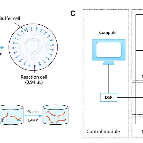 Microfluidic Chip 的图像结果