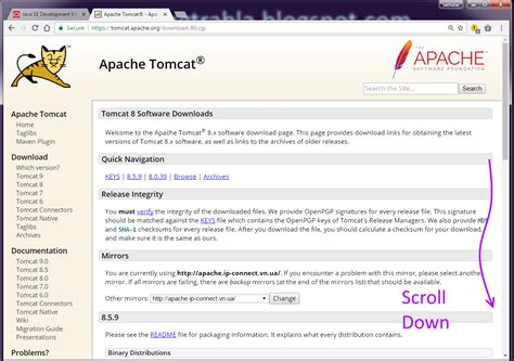 Tomcat Download for Java 的图像结果