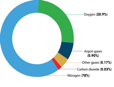 Percentage Of Oxygen In The Atmosphere