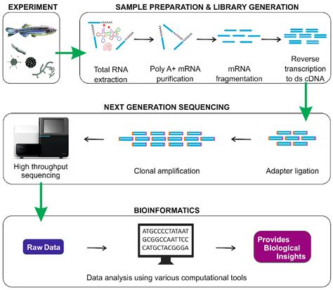 Image result for Transcriptomic Analysis