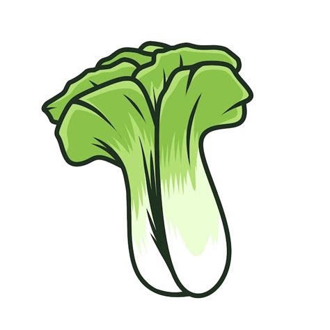 Bok choy vegetable vector design | Premium Vector