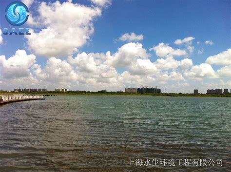 项目案例 | 上海水生环境工程有限公司