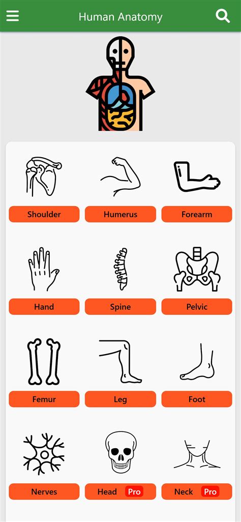 Orthopedic Anatomy APK for Android Download