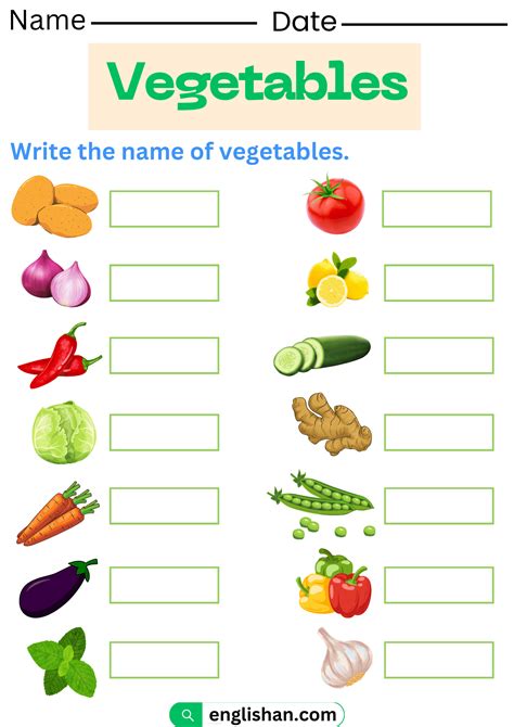 Vegetables Worksheets - Name the Vegetable - English Vocabulary ...