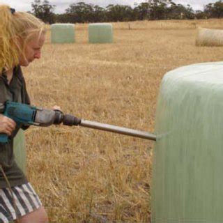 Silage Sampling Core 的图像结果