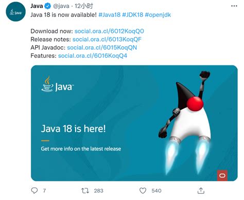 Image result for Java JDK 18 Download