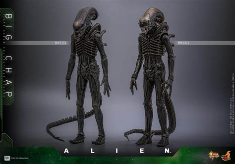 Big Chap Sixth Scale Figure Alien Limited Collectible – Comic Concepts