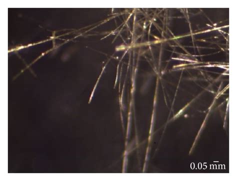 Image result for Wool Under a Microscope