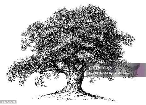 Image result for Gambar Contoh Script JavaScript