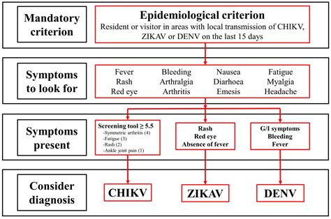 Chikungunya Symptoms And Diagnosis