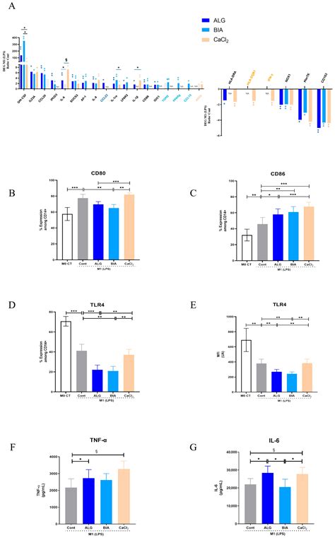 In Vitro Modulation of Macrophage Inflammatory and Pro-Repair ...