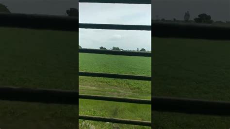 Tari Miti Me Mil Java 的图像结果